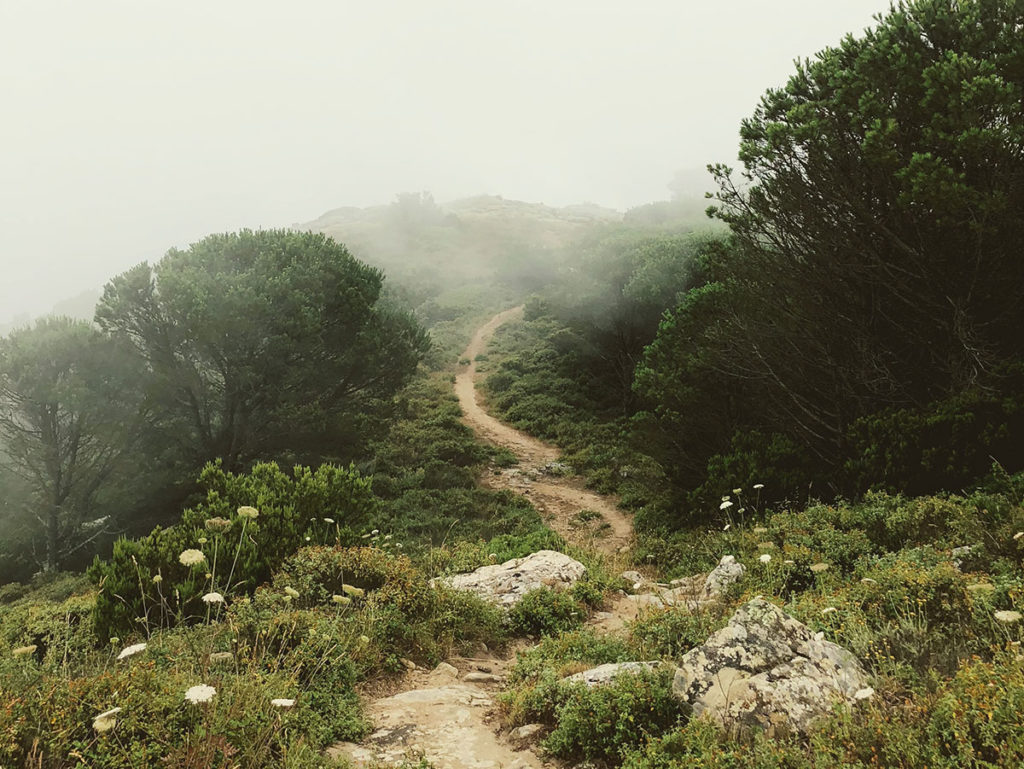 pathway on a hill